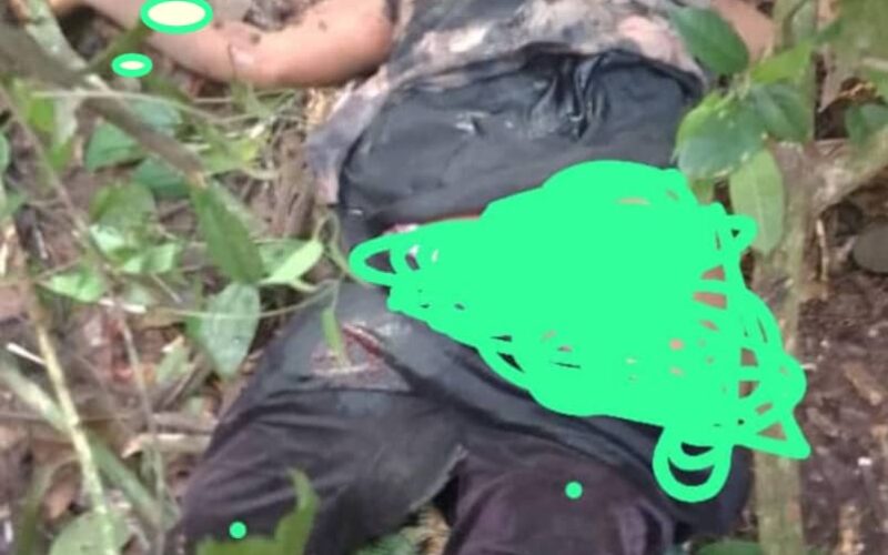 Nord-Kivu : un terroriste ADF neutralisé à Mayangose, les FARDC-UPDF poursuivent la traque