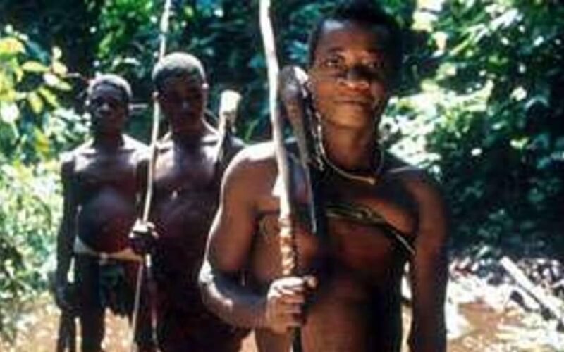 Mambasa : des pygmées armés sèment la panique (CRDH)