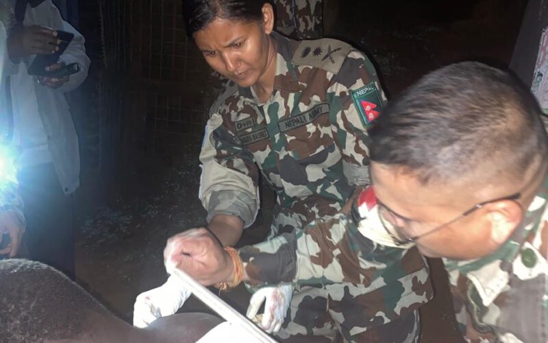 Djugu : la MONUSCO sauve des vies à Gina face aux atrocités de la CODECO