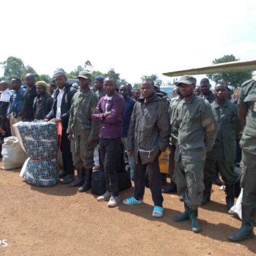 Nord et Sud-Kivu : 323 combattants du M23 se rendent aux FARDC