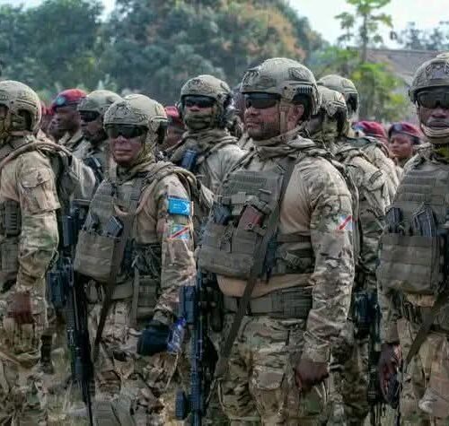 Ituri : les FARDC infligent un revers majeur à la milice CRP à Jingo