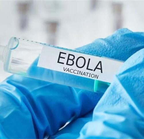 Ebola : le vaccin Ervebo en piste pour une protection contre la souche Bundibugyo en RDC