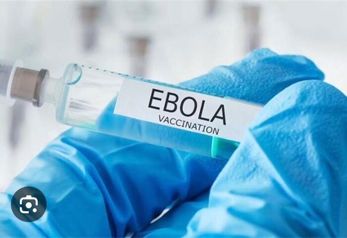 Ebola : le vaccin Ervebo en piste pour une protection contre la souche Bundibugyo en RDC